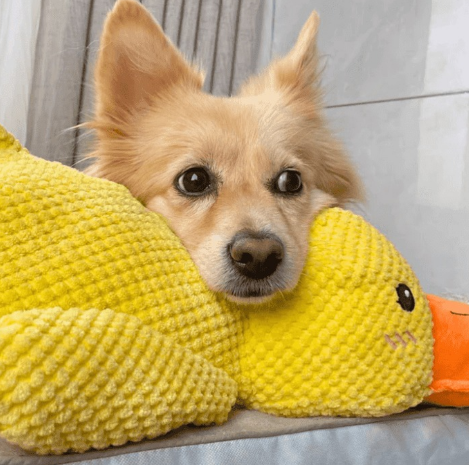 The Snuzzlea™ Calming Duck