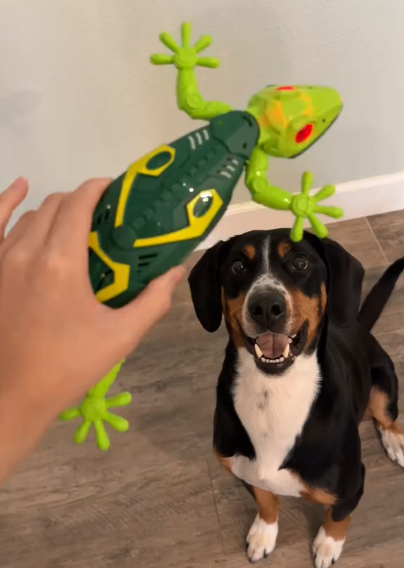 The Snuzzlea™ Crawler Lizard