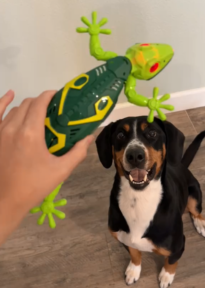 The Snuzzlea™ Crawler Lizard