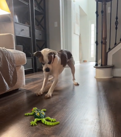 The Snuzzlea™ Crawler Lizard