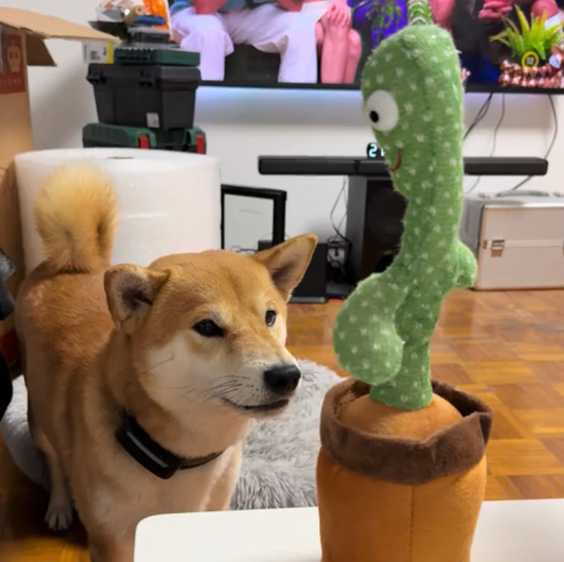 The Snuzzlea™ Dog Talking Cactus