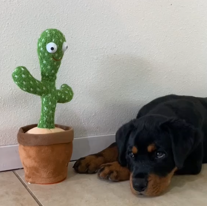 The Snuzzlea™ Dog Talking Cactus
