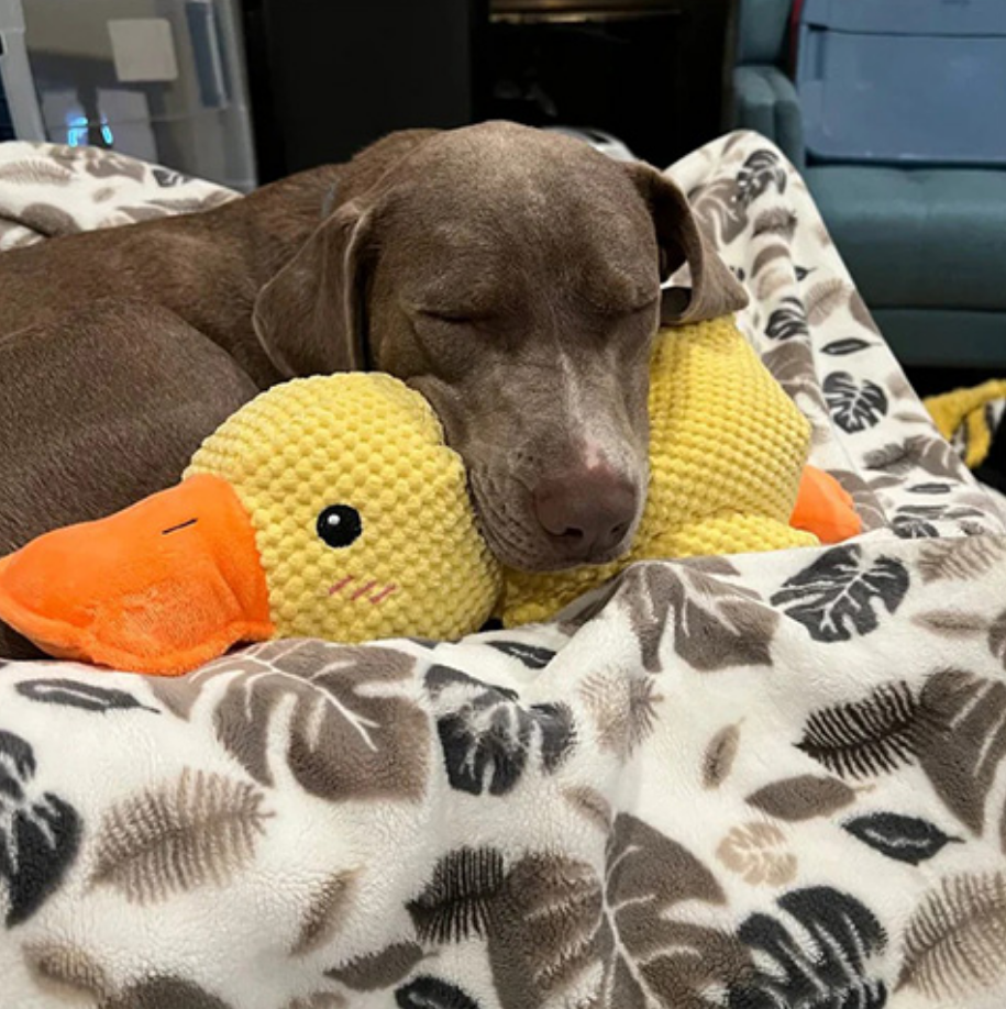 The Snuzzlea™ Calming Duck